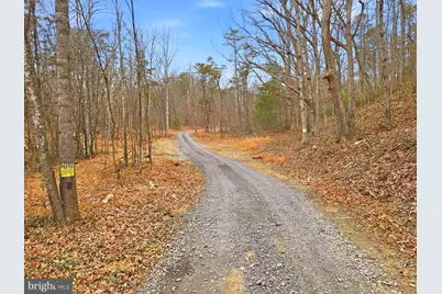 709 Stultz Gap Road, Edinburg, VA 22824 - Photo 5