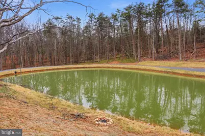 709 Stultz Gap Road, Edinburg, VA 22824 - Photo 13