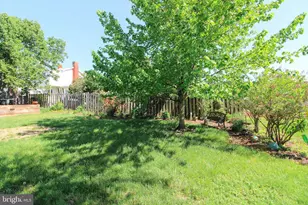 207 S Muhlenberg St, Woodstock, VA 22664 - Photo 81