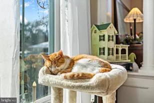 207 S Muhlenberg St, Woodstock, VA 22664 - Photo 15