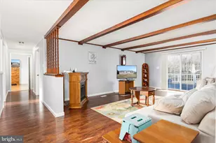 2467 Buck Hill Rd, Mount Jackson, VA 22842 - Photo 7