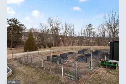 2467 Buck Hill Road, Mount Jackson, VA 22842 - Photo 37