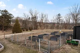 2467 Buck Hill Rd, Mount Jackson, VA 22842 - Photo 37