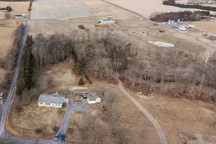 2467 Buck Hill Rd, Mount Jackson, VA 22842 - Photo 19