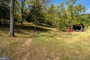 4771 Mill Creek, Mount Jackson, VA 22842 - Photo 19