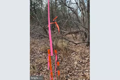 0 Supinlick Ridge Road, Mount Jackson, VA 22842 - Photo 11