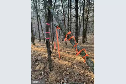 0 Supinlick Ridge Road, Mount Jackson, VA 22842 - Photo 15