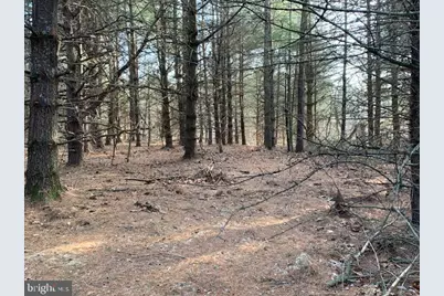 0 Supinlick Ridge Road, Mount Jackson, VA 22842 - Photo 9
