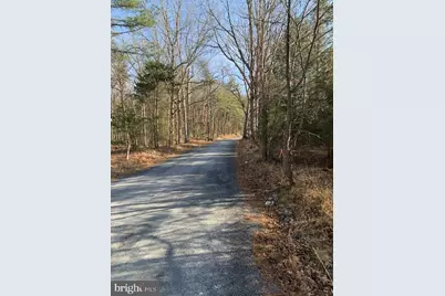 0 Supinlick Ridge Road, Mount Jackson, VA 22842 - Photo 3