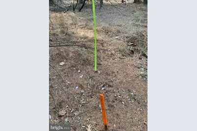 0 Supinlick Ridge Road, Mount Jackson, VA 22842 - Photo 5