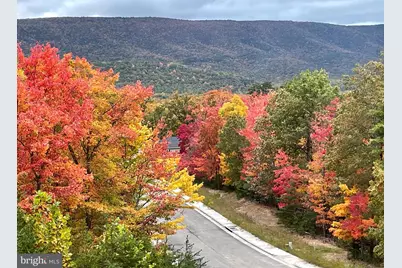 4 Creek Valley Drive, Basye, VA 22810 - Photo 3