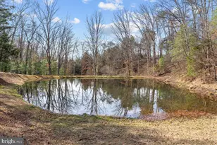 5333 Orkney Grade, Mount Jackson, VA 22842 - Photo 71