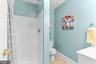 5333 Orkney Grade, Mount Jackson, VA 22842 - Photo 51