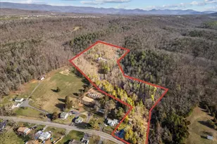 5333 Orkney Grade, Mount Jackson, VA 22842 - Photo 5