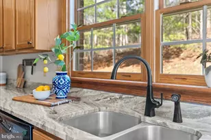 5333 Orkney Grade, Mount Jackson, VA 22842 - Photo 11