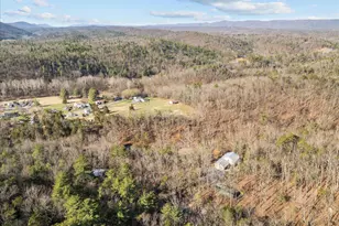 5333 Orkney Grade, Mount Jackson, VA 22842 - Photo 77