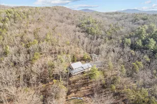 5333 Orkney Grade, Mount Jackson, VA 22842 - Photo 75