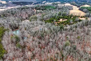 4992 St Davids Church Rd, Fort Valley, VA 22652 - Photo 33