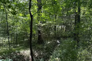 769 S Water St, Woodstock, VA 22664 - Photo 5