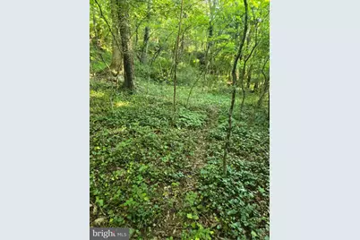 769 S Water Street, Woodstock, VA 22664 - Photo 35