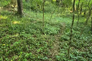 769 S Water St, Woodstock, VA 22664 - Photo 35