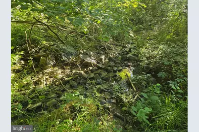 769 S Water Street, Woodstock, VA 22664 - Photo 39