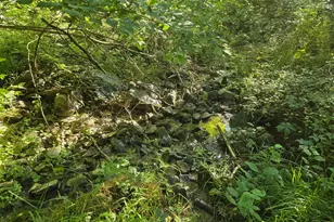 769 S Water St, Woodstock, VA 22664 - Photo 39