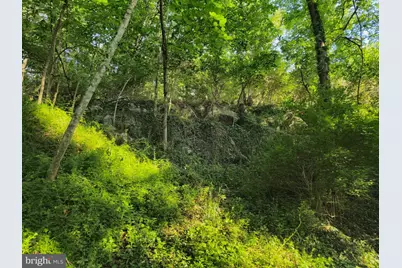 769 S Water Street, Woodstock, VA 22664 - Photo 37