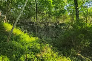 769 S Water St, Woodstock, VA 22664 - Photo 37