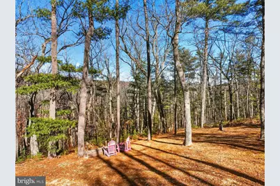 509 Alpine Way, Mount Jackson, VA 22842 - Photo 11
