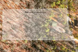 509 Alpine Way, Mount Jackson, VA 22842 - Photo 15