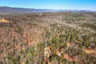 509 Alpine Way, Mount Jackson, VA 22842 - Photo 47