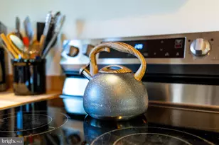 509 Alpine Way, Mount Jackson, VA 22842 - Photo 23