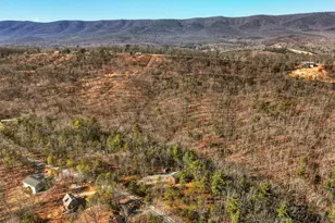 509 Alpine Way, Mount Jackson, VA 22842 - Photo 49