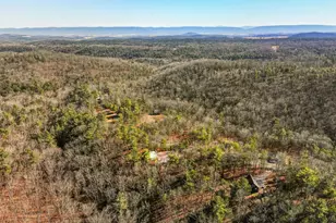 509 Alpine Way, Mount Jackson, VA 22842 - Photo 51