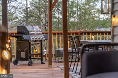 162 Forrest Street, Basye, VA 22810 - Photo 5