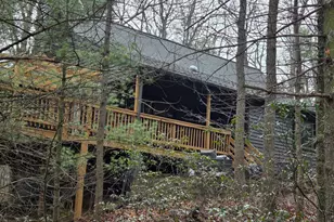 162 Forrest St, Basye, VA 22810 - Photo 51