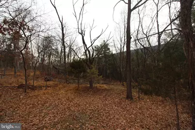 362 Riverview Drive, Maurertown, VA 22644 - Photo 7