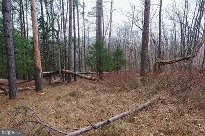 362 Riverview Drive, Maurertown, VA 22644 - Photo 5