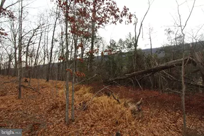 362 Riverview Drive, Maurertown, VA 22644 - Photo 15