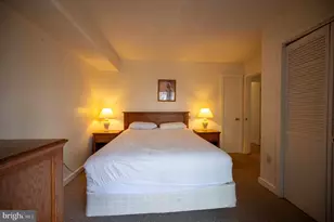 377 Spitz, Basye, VA 22810 - Photo 53