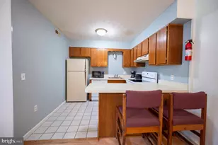 377 Spitz, Basye, VA 22810 - Photo 49