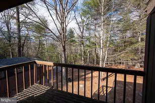 377 Spitz, Basye, VA 22810 - Photo 67