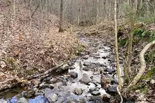 1144 Krejci Blvd, Mount Jackson, VA 22842 - Photo 23