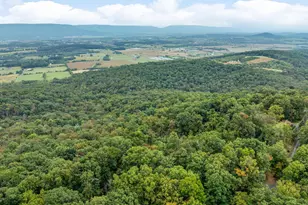 760 Hilltop Ln, Mount Jackson, VA 22842 - Photo 27