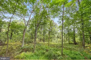 760 Hilltop Ln, Mount Jackson, VA 22842 - Photo 7