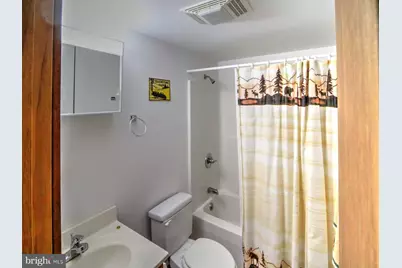 141 Mallard Drive, Basye, VA 22810 - Photo 23