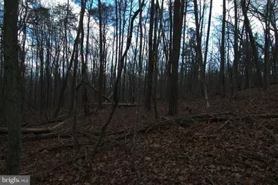 Three Mile Bank Lane, Edinburg, VA 22824 - Photo 13