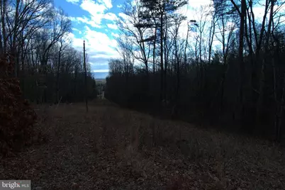 Three Mile Bank Lane, Edinburg, VA 22824 - Photo 11