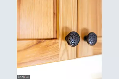 151 Patrick Lane, Mount Jackson, VA 22842 - Photo 11